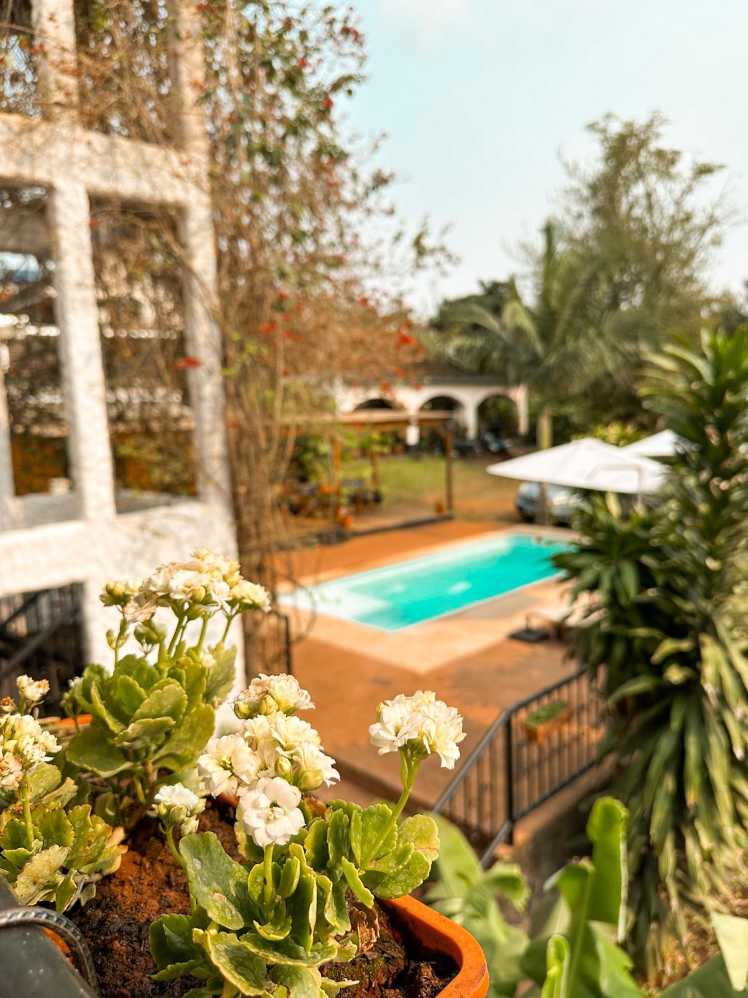 Mediterráneo Suites Puerto Iguazú Exterior foto